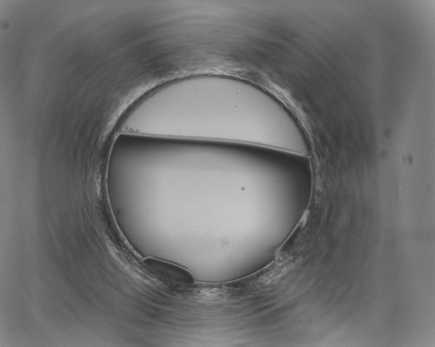 X0000067480060200604070938