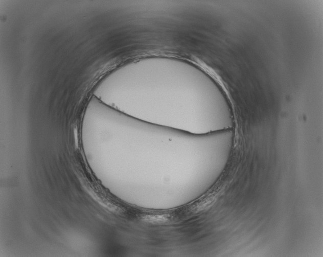 X0000067480061200604070938