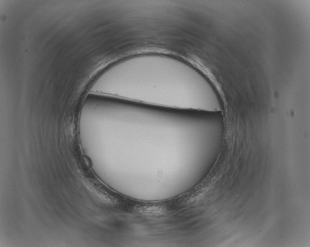 X0000067480063200604070938