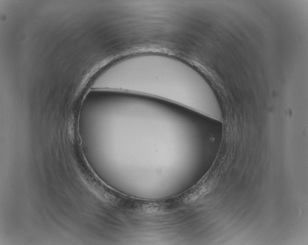 X0000067480064200604070938