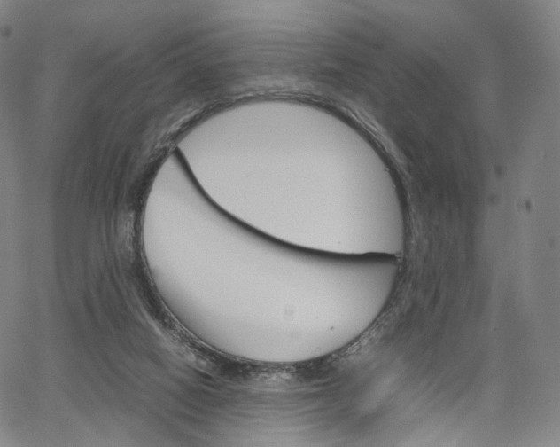 X0000067480066200604070938