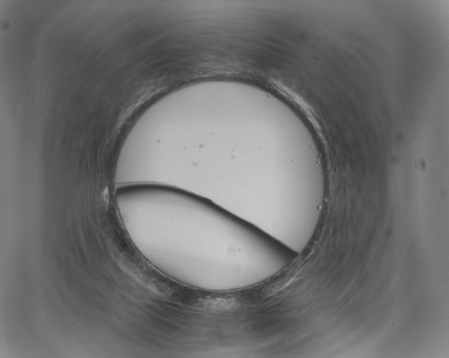 X0000067480067200604070938