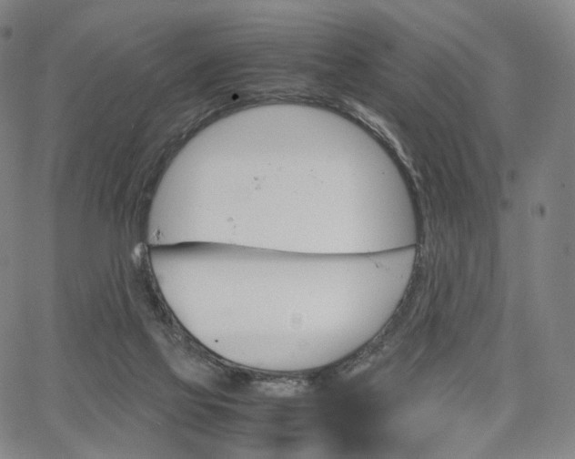 X0000067480069200604070938