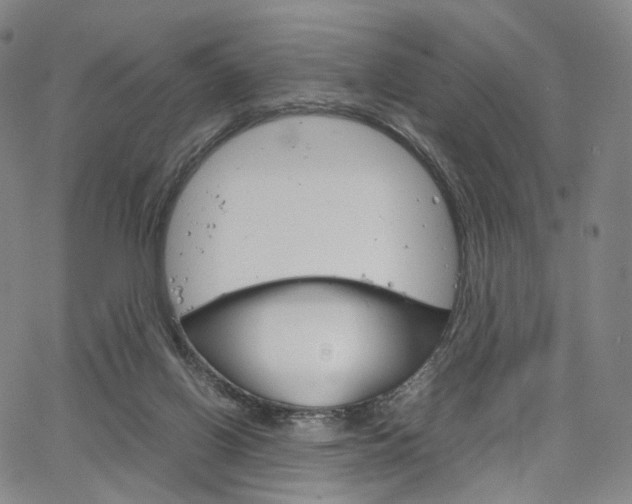 X0000067480070200604070938