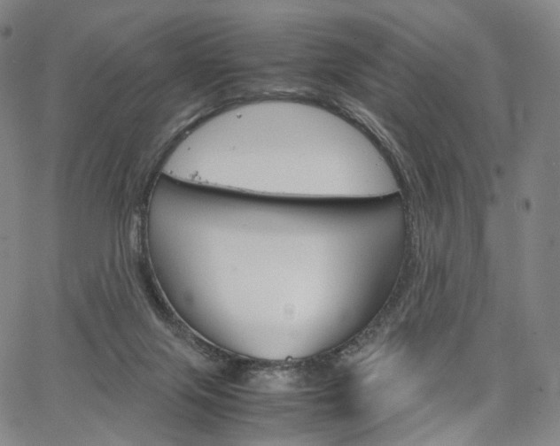 X0000067480071200604070938