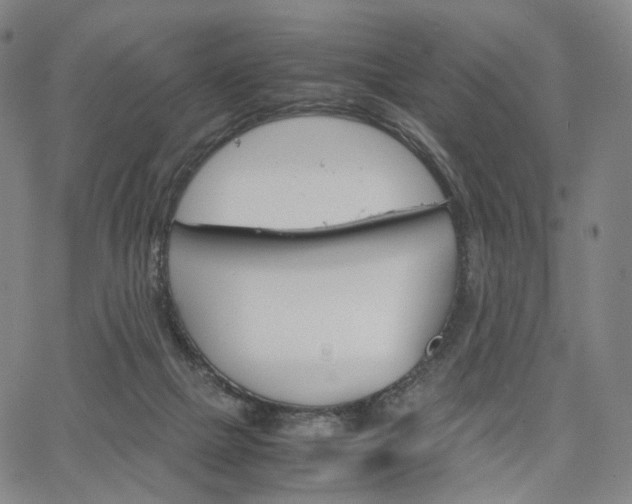 X0000067480073200604070938