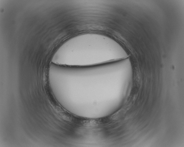 X0000067480074200604070938