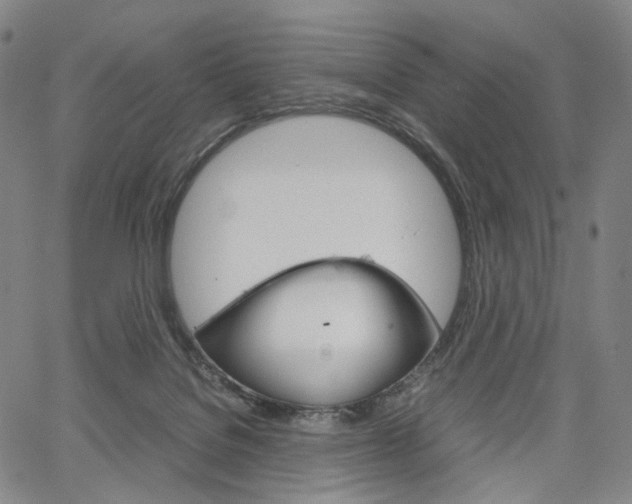 X0000067480076200604070938