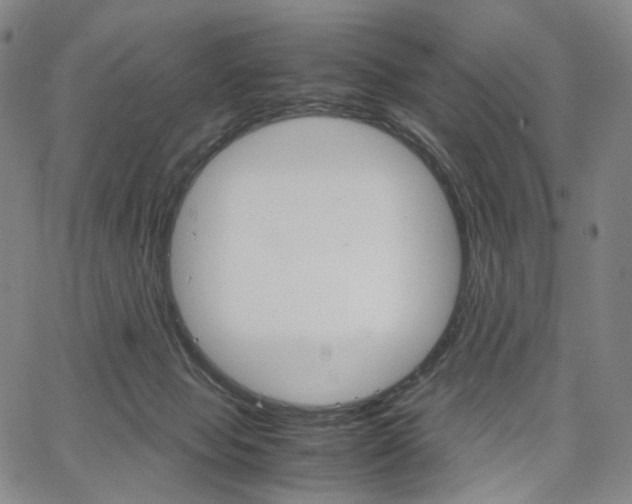 X0000067480077200604070938