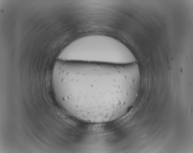 X0000067480078200604070938