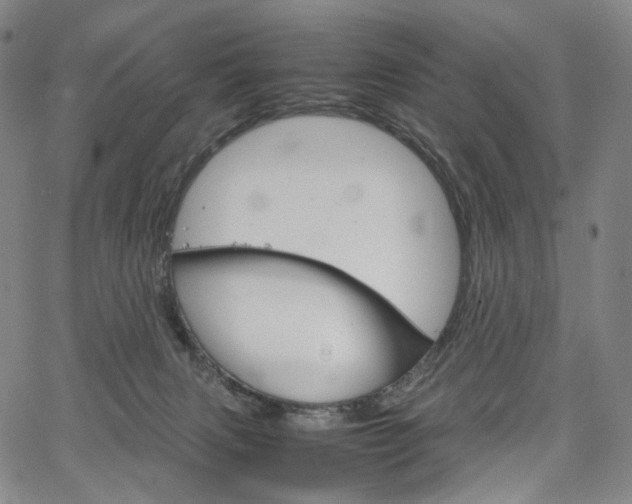 X0000067480079200604070938