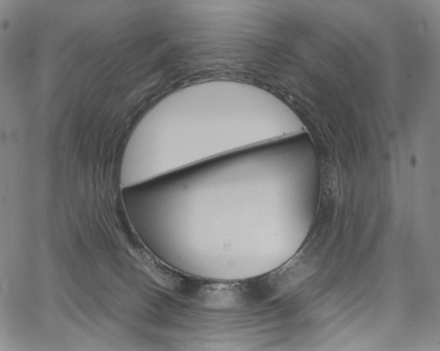 X0000067480082200604070938