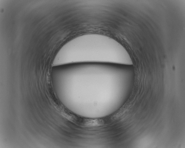 X0000067480083200604070938