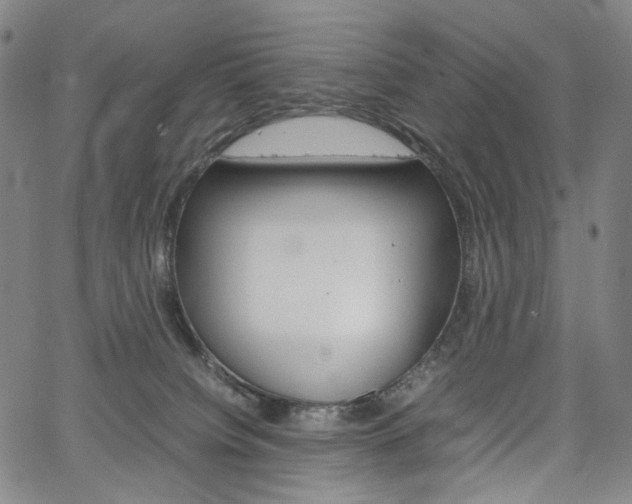 X0000067480084200604070938