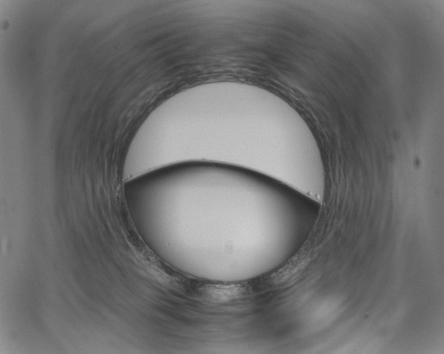 X0000067480085200604070938