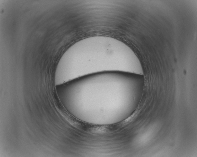 X0000067480086200604070938