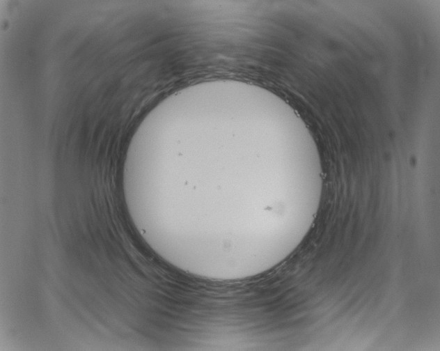 X0000067480088200604070938