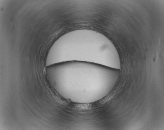 X0000067480089200604070938