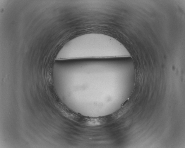 X0000067480091200604070938