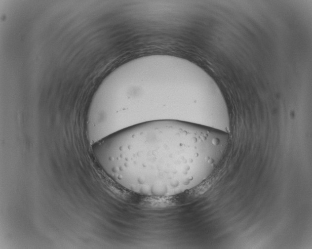 X0000067480093200604070938