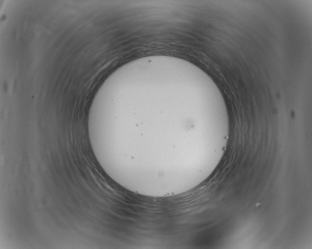 X0000067480095200604070938