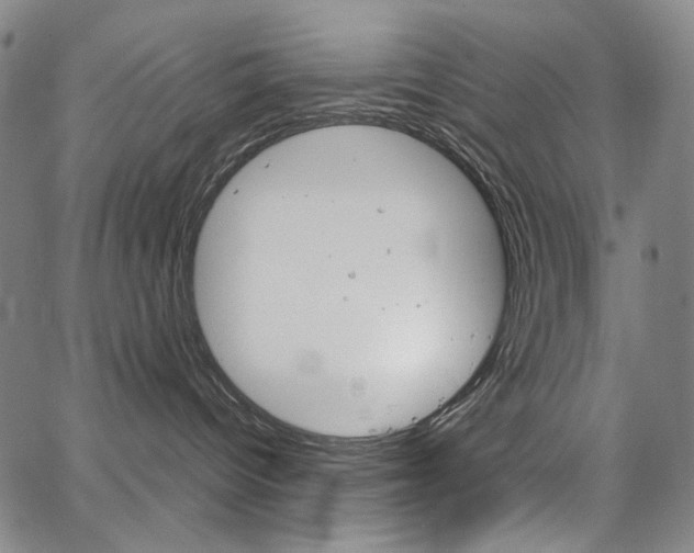 X0000067480096200604070938