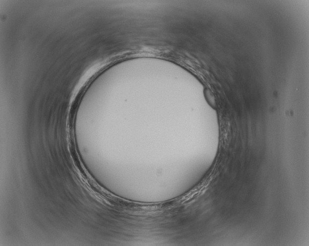 X0000067480102200604070938