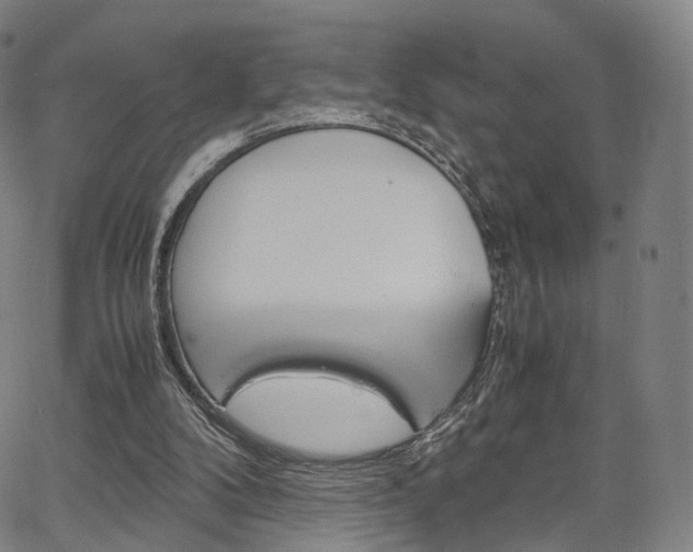 X0000067480104200604070938