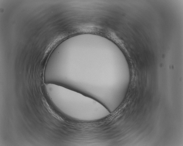 X0000067480106200604070938