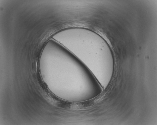 X0000067480109200604070937