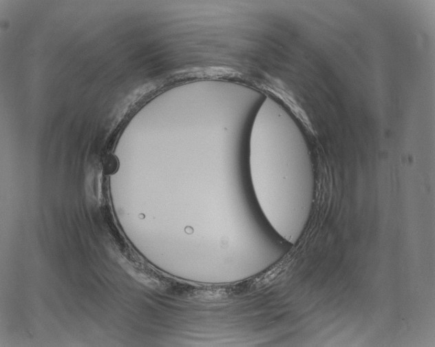 X0000067480110200604070937