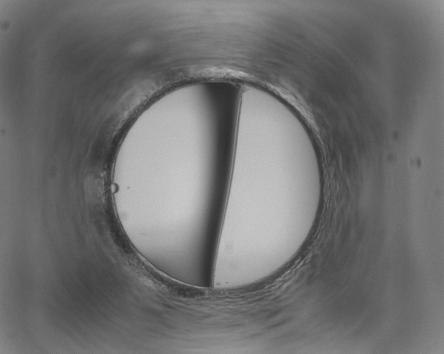 X0000067480111200604070937