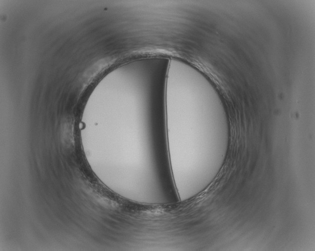 X0000067480112200604070937