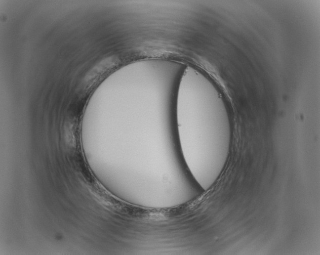 X0000067480114200604070937