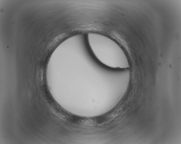 X0000067480115200604070937