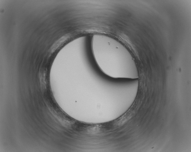 X0000067480116200604070937