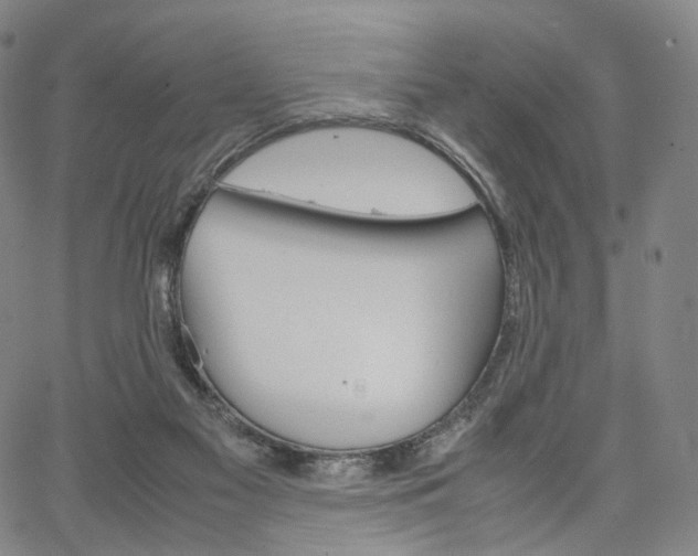 X0000067480117200604070937