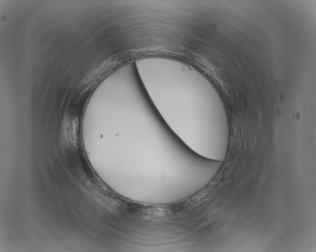 X0000067480118200604070937