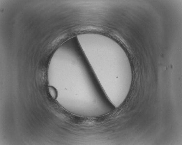 X0000067480119200604070937