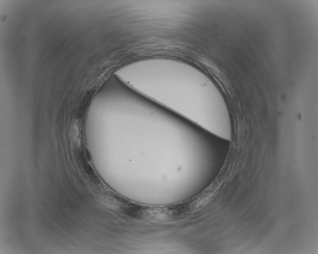 X0000067480121200604070937