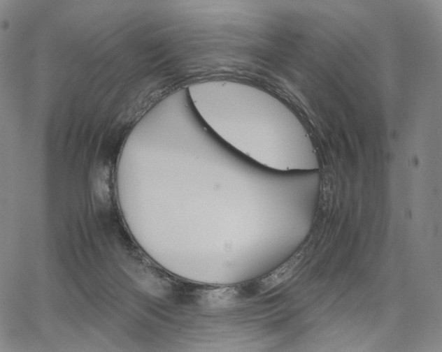 X0000067480122200604070937