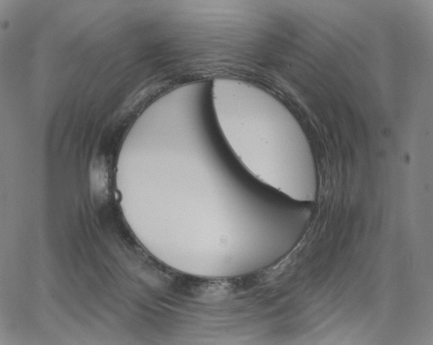 X0000067480124200604070937