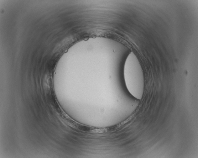 X0000067480126200604070937