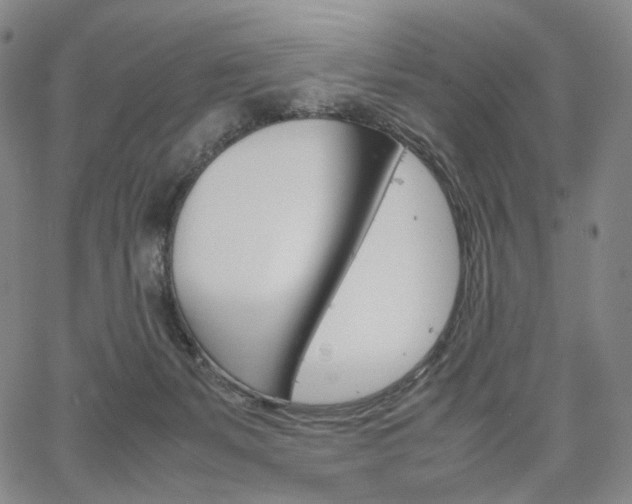 X0000067480127200604070937