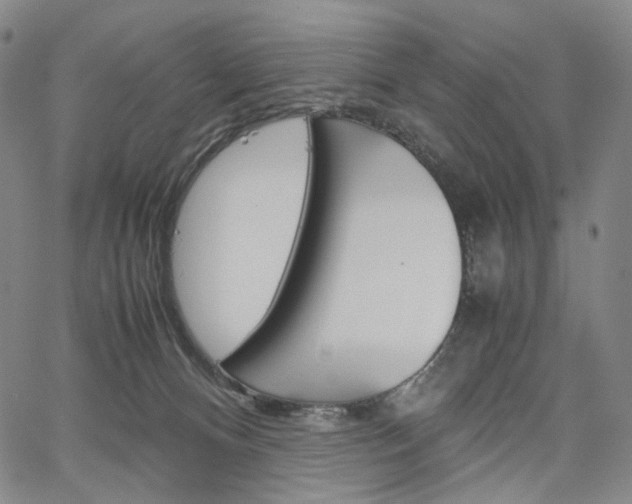 X0000067480128200604070937