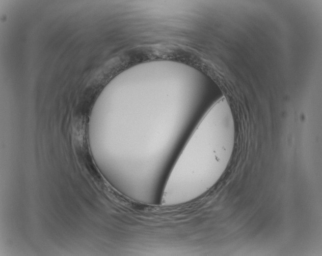 X0000067480129200604070937