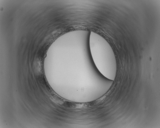 X0000067480130200604070937