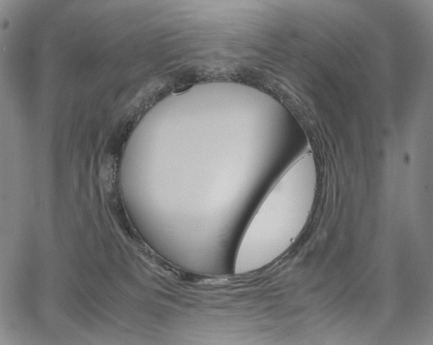 X0000067480133200604070937