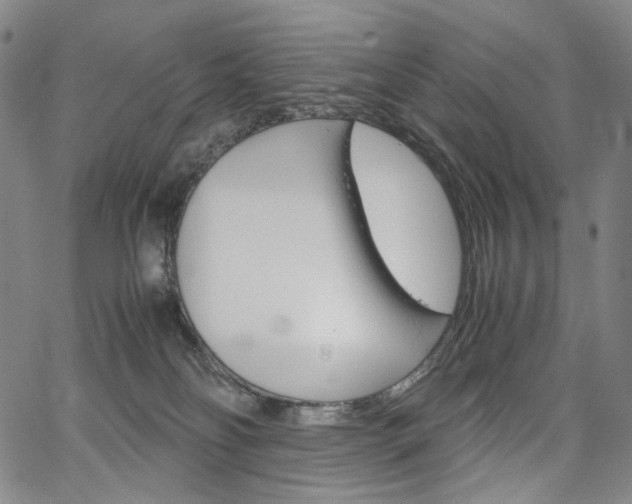 X0000067480134200604070937