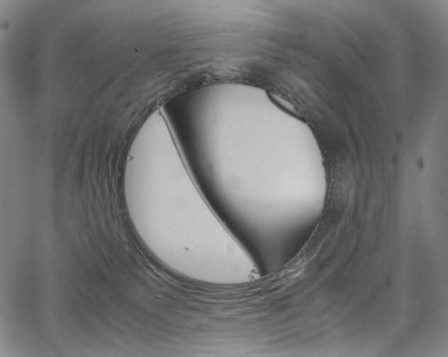 X0000067480135200604070937